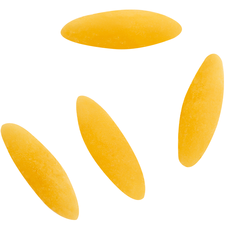 Risoni