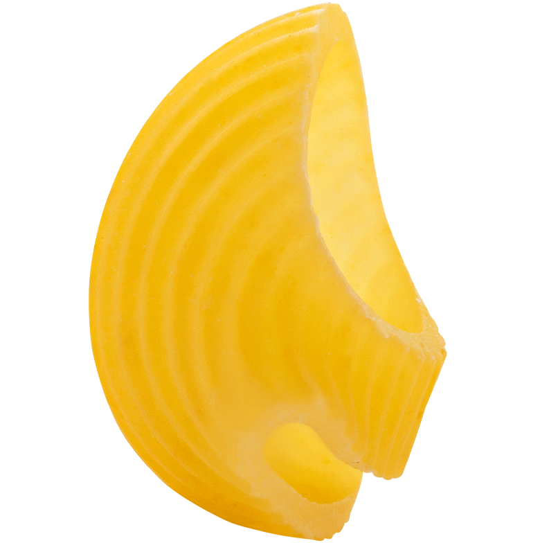 Lumaca