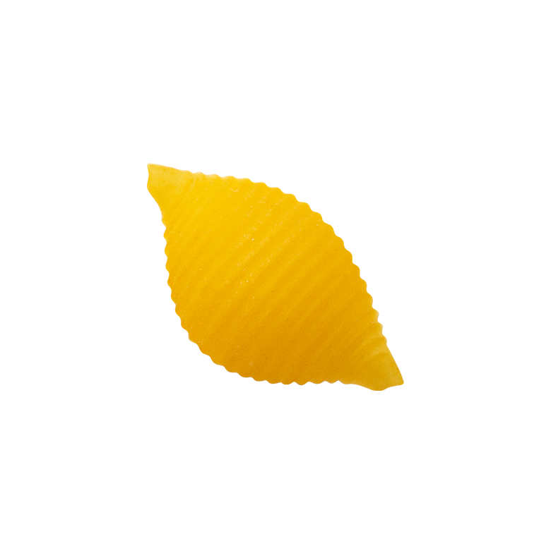 Conchiglie Rigate